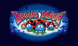 Beetle Mania