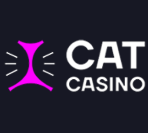 Cat Casino Cat Casino