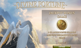 Divine Fortune