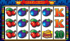 Reel King Potty