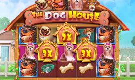 The Dog House