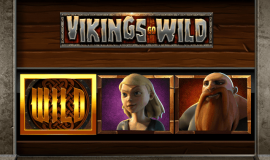 Vikings Go Wild
