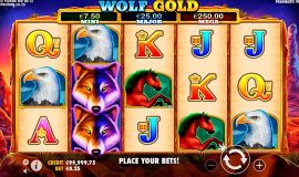 Wolf Gold